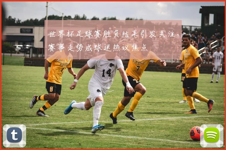 世界杯足球赛胜负结果引发关注,赛事走势成球迷热议焦点