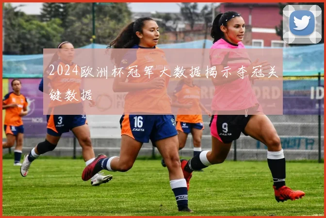 2024欧洲杯冠军大数据揭示夺冠关键数据