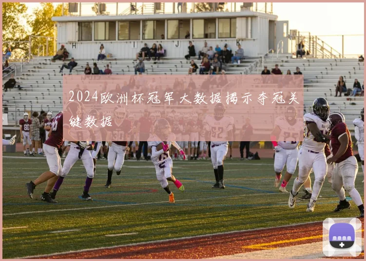 2024欧洲杯冠军大数据揭示夺冠关键数据