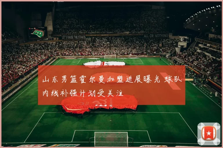 山东男篮霍尔曼加盟进展曝光 球队内线补强计划受关注