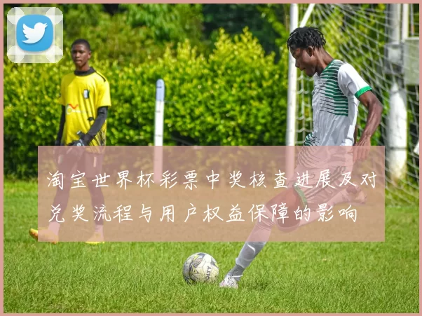 淘宝世界杯彩票中奖核查进展及对兑奖流程与用户权益保障的影响