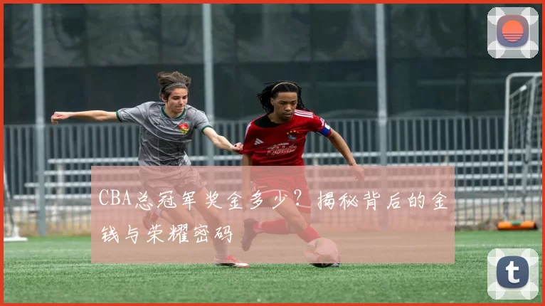 CBA总冠军奖金多少？揭秘背后的金钱与荣耀密码